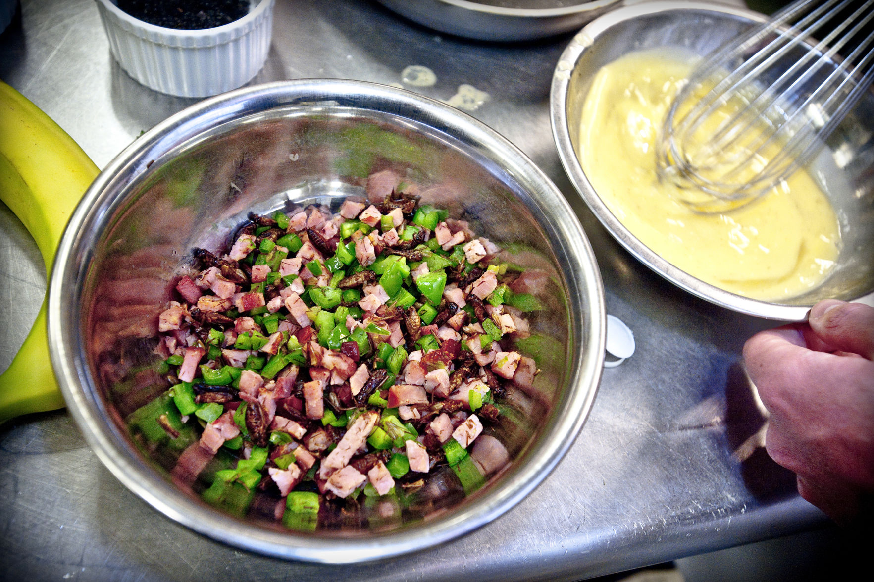 Cricket, ham, pepper omelet
